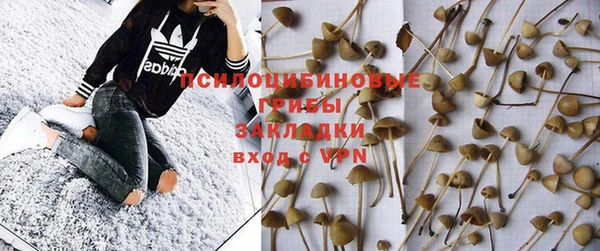 крисы Абдулино